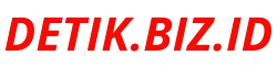 detik.biz.id